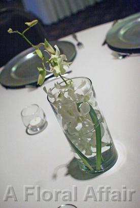 RF0397-Simple White Orchid Centerpiece