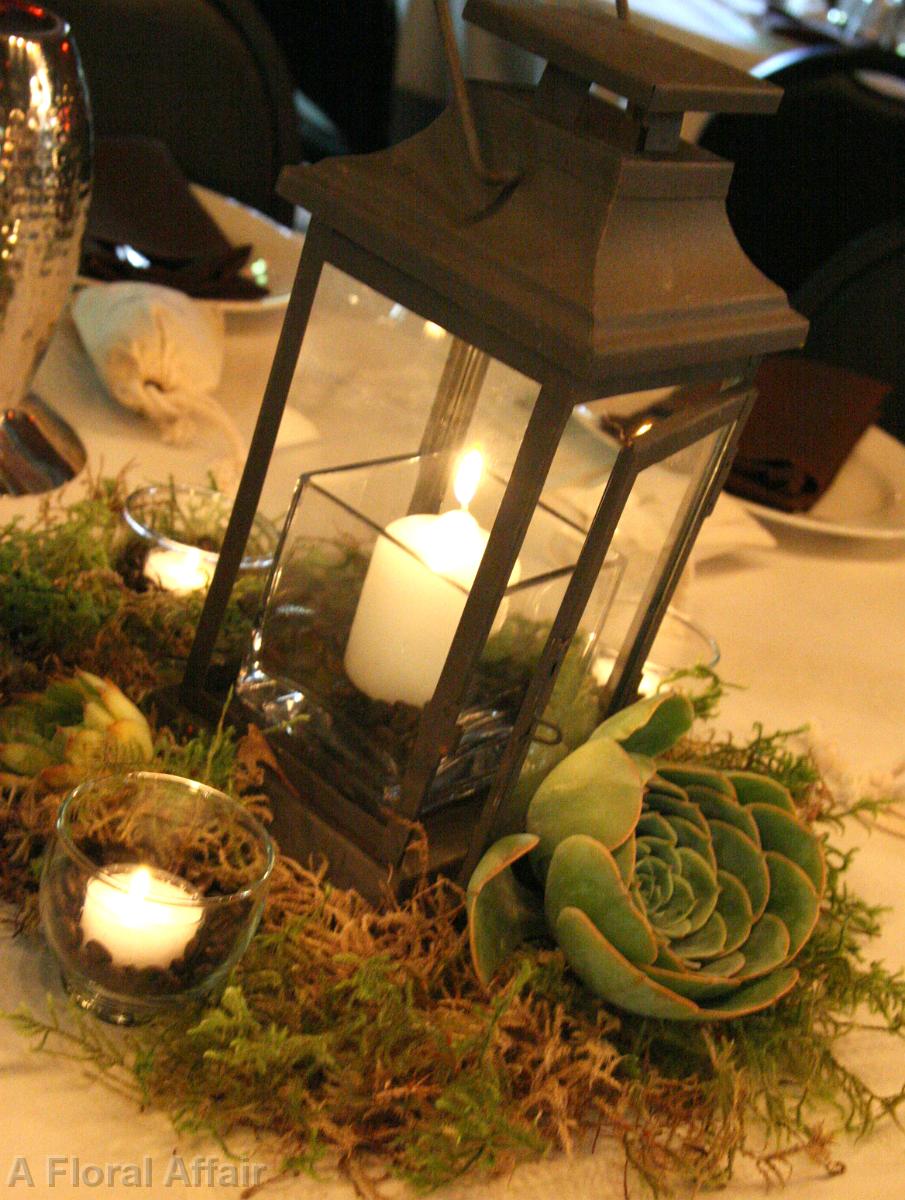 RF0588-Low Lantern and Succulant Centerpiece