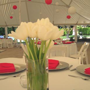 RF0941-Simple, White and Pink Centerpiece