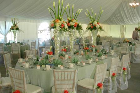 RF0855-Coral and White, Romantic Contemporary Tall Centerpiece
