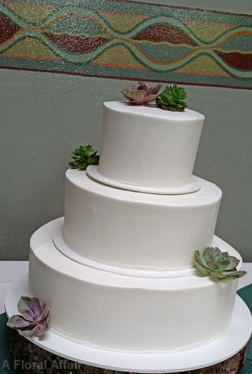 CA0156-Succulents on Wedding Cake