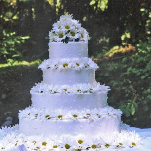 CA0101-Just Daisies Wedding Cake Floral