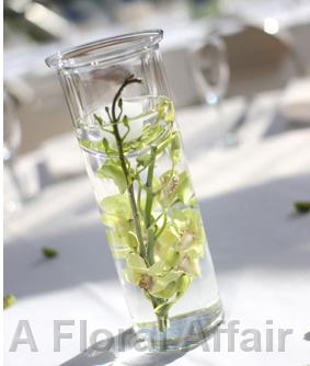 RF0308-Green Orchid Centerpiece