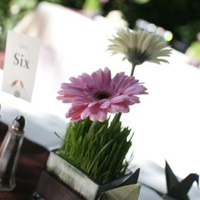 RF0343-Gerbera Daisy and Wheat Grass Centerpiece