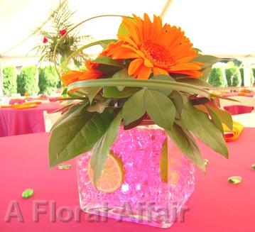 RF0947-Bright Orange and Pink Fun Cube Centerpiece