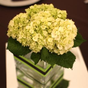 RF0464-Green Hydrangea Centerpiece