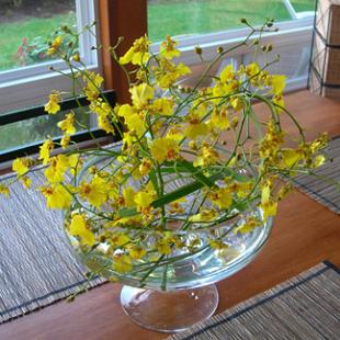 RF0910-Whimsical, Modern, Yellow Centerpiece