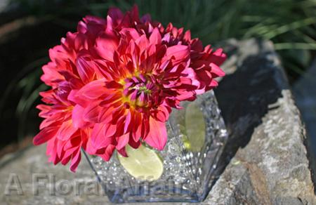 RF0398-Magenta Dahlia and Lime Centerpiece