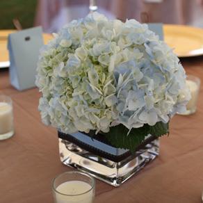 RF0312-Low Cornflower Blue Hydrangea Centerpiece