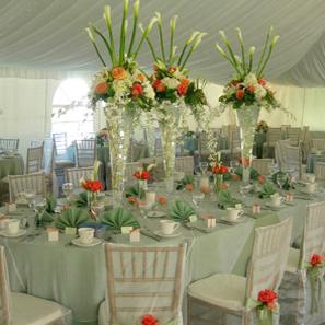 RF0855-Coral and White, Romantic Contemporary Tall Centerpiece