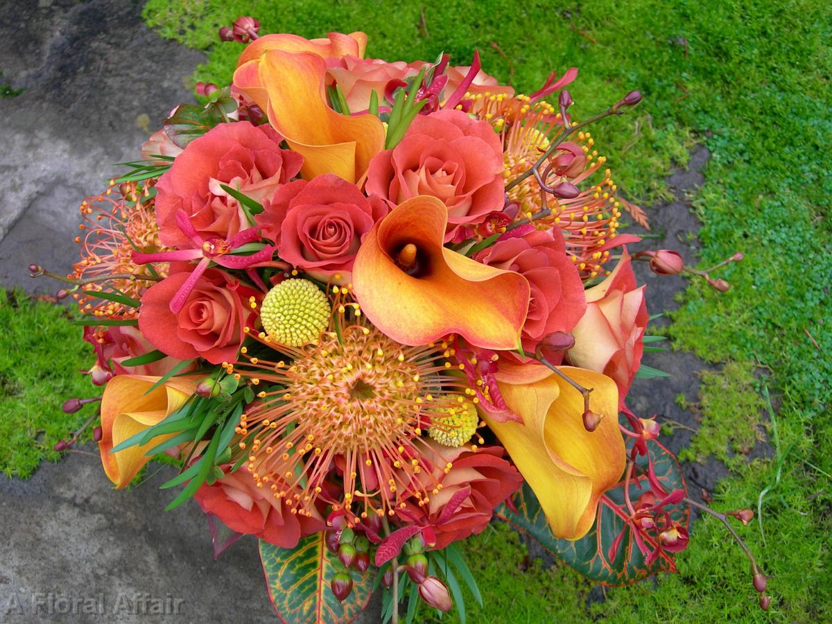 BB0033-Orange Pincushion, Rose, and Craspedia Wedding Bouquet