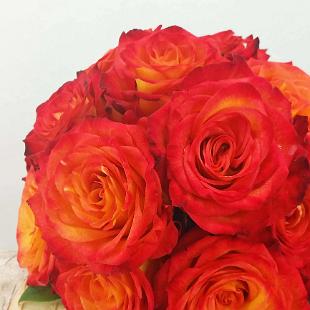BB1214-Circus Rose Bridesmaids Bouquet