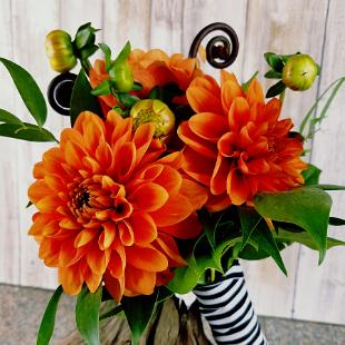 BB1400-Simple Dahlia Bridemaid's Bouquet