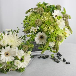 BB0513-Textured Green and White Spider Mum and Gerbera Daisy Bouquet