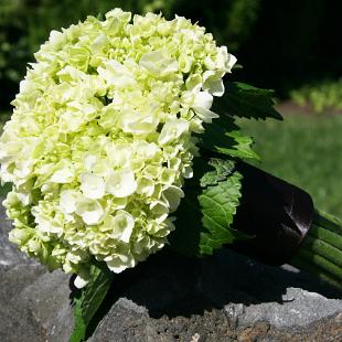 BB1023-Simple Green Hydrangea Bridesmaids Bouquet
