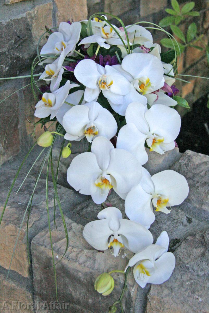 BB0671-Orchid Cascade