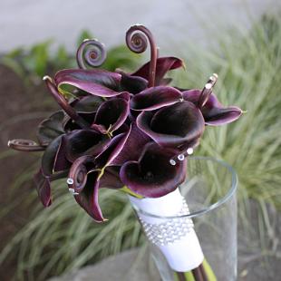 BB0610-Egg Plant Mini Calla Lily and Fiddlehead Fern Bridal Bouquet