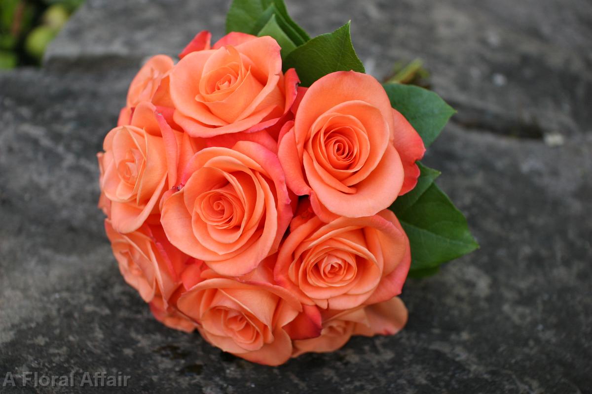 BB0498-Simple Spicy Rose Bouquet