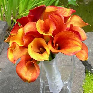 BB0107-Simple Flame Lily Bouquet