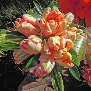 BB0313-Orange Tulip Bouquet