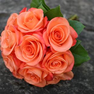 BB0498-Simple Spicy Rose Bouquet
