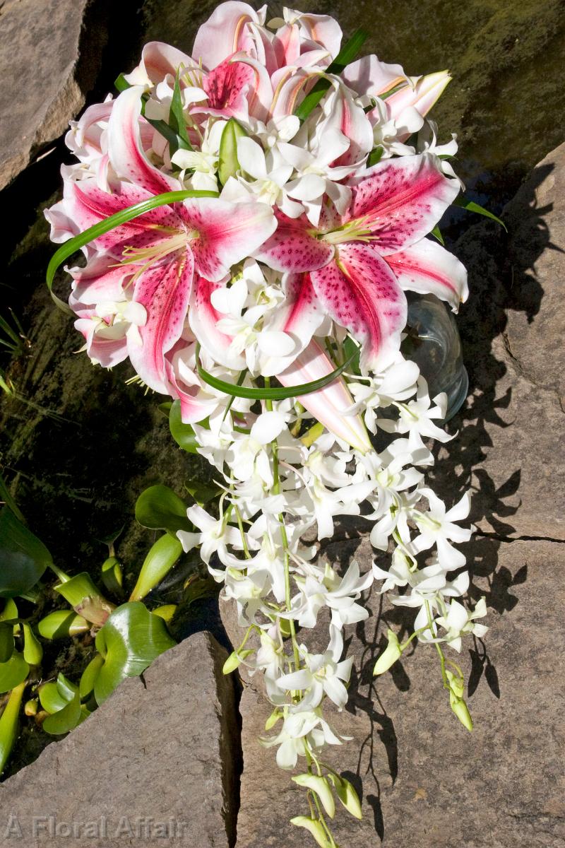 BB0318-Stargazer Lily and Orchid Cascade