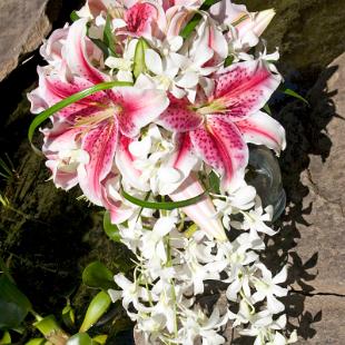 BB0318-Stargazer Lily and Orchid Cascade