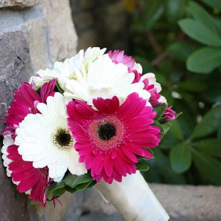 BB0591-Pink and White Gerbera Daisy Bridal Bouquet
