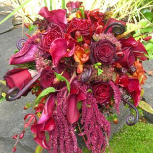 BB0169-Red Rose and Amaranthus Cascade