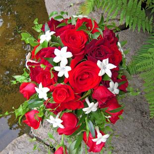 BB0243-Red Freedom and Black Baccara Rose Cascade