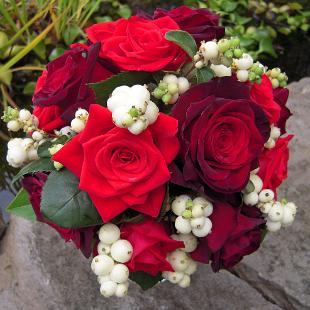 BB0293-Red Rose and Snow Berry Bouquet