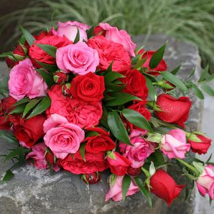 BB0573-Pink and Red Rose Cascade Bouquet