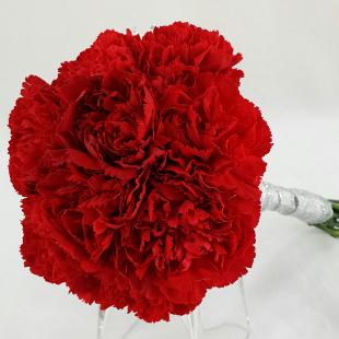 BB1009-Red Carnation Bridesmaids Bouquet