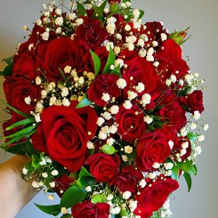 BB1677- Cascading Bridal Bouquet with Red Roses and Baby's Breath