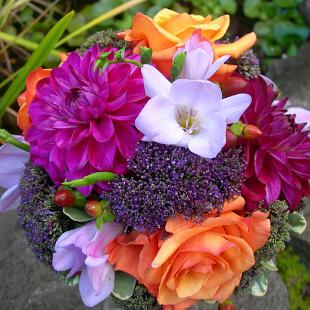 BB0174-Melva Rose and Grape Dahlia Bridal Bouquet