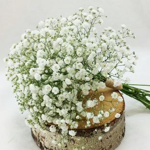 BB1013-Babys Breath Bridesmaids Bouquet