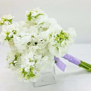 BB1228-Small White Stock Wedding Bouquet