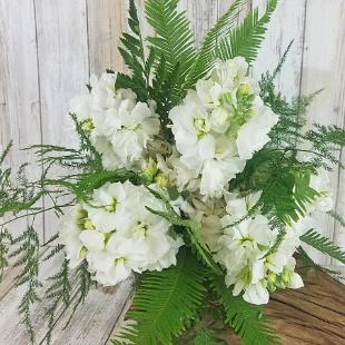 BB1462-Simple White Stock and Fern Bridesmaids Bouquet