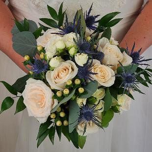 BB1547-White Rose, Blue Thistle Brides Bouquet