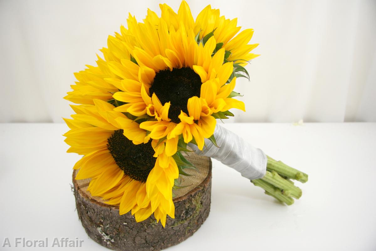 BB0884-Hand Tied Sunflower Bouquet