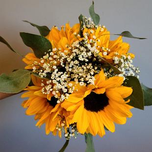 BB1587-Simple sunflower and baby's breath bridesmaid bouquet