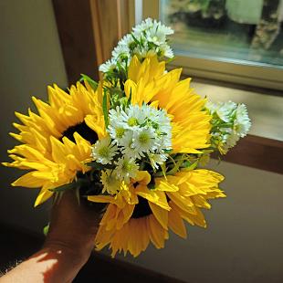 BB1619-Simple Sunflower Bridesmaids Bouquet edited-1