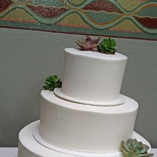 CA0156-Succulents on Wedding Cake