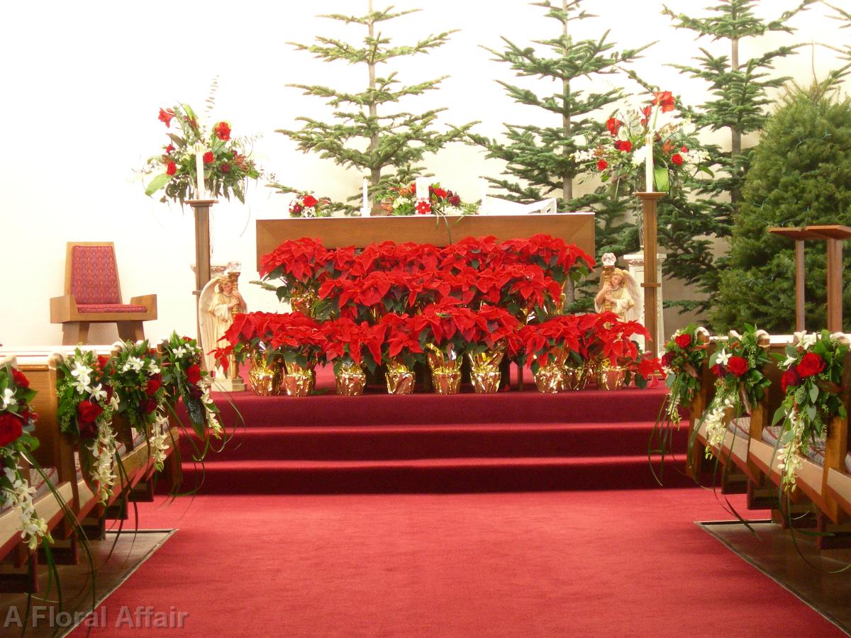 AM0237-Red and White Pew Flowers