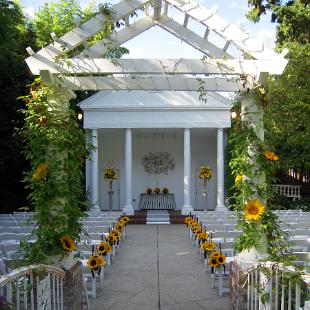 AM0359-Sunflower Ceremony and Aisle Flowers
