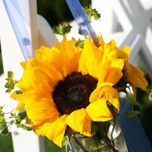 AM0578-Sunflower and Mason Jar Aisle Marker