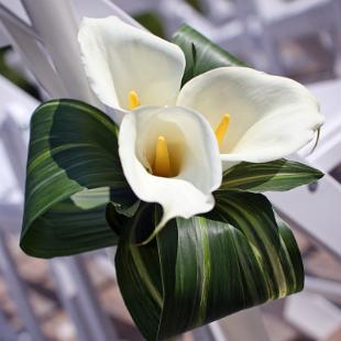 AM0582-Elegant Calla Lily Aisle Marker