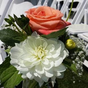 CF0772-White Dahlia and Coral Rose Aisle Flowers