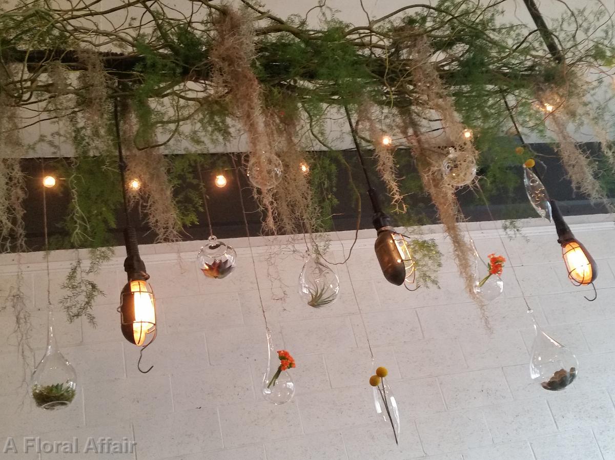 CF0798-Hanging Succulents in Glass Vases For Wedding Ceremony