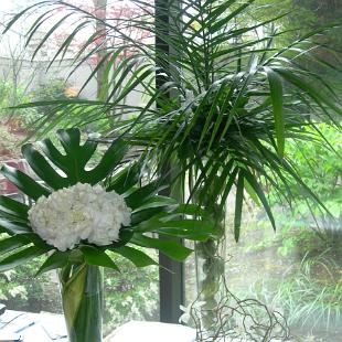 CF0321-Tropical Leaf and Orchid Flower Arrangements